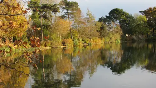 South Norwood Lake in autumn